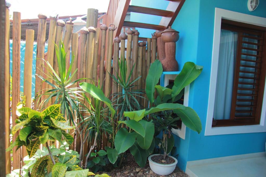 Casa Azul Villa Praia de Pipa Esterno foto